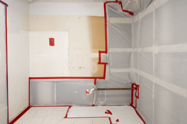 Trusted Delmar, DE Mold Removal Experts